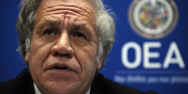 La OEA pide una investigación internacional del asesinato del presidente haitiano