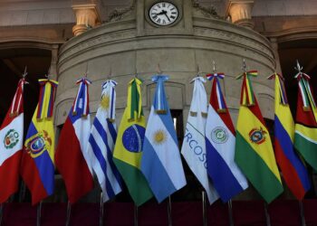 División interna de política comercial en cuanto a el Mercosur