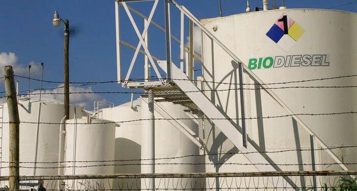 Argentina apelará el fallo en EE.UU. que afecta sus exportaciones de biodiésel