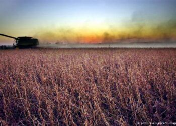 Cumbre de la ONU sobre alimentación: el hambre es una bomba de tiempo