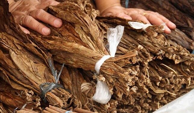 Impuesto al tabaco en USA sería devastador para RD