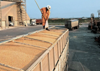 Alimentos y energía seguirán presionando a la inflación; emergentes, los más expuestos: FMI