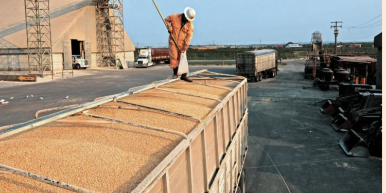 Alimentos y energía seguirán presionando a la inflación; emergentes, los más expuestos: FMI