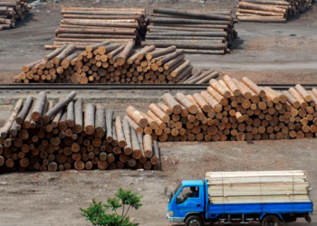 Rusia prohíbe las exportaciones de azúcar, cereales y madera a ciertos países
