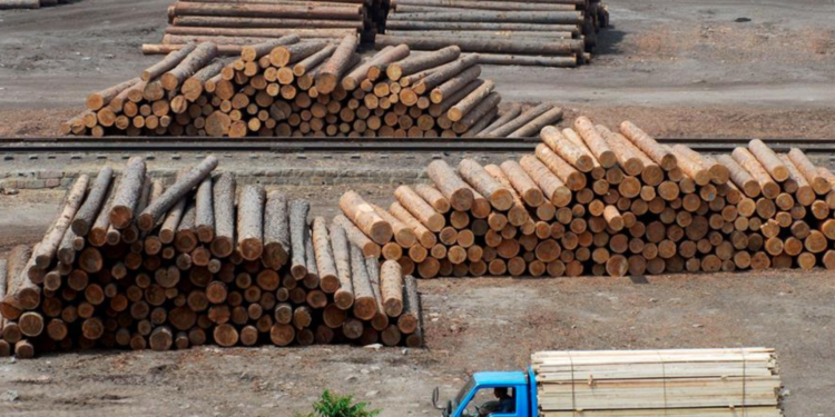 Rusia prohíbe las exportaciones de azúcar, cereales y madera a ciertos países