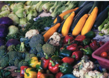 La UE importará alimentos de Argentina si continúa la guerra en Ucrania