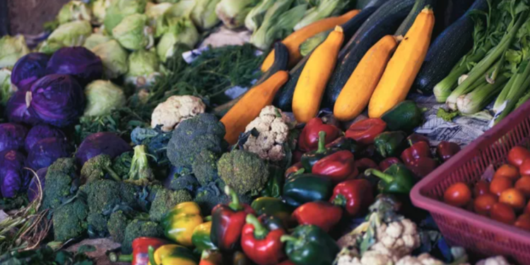 La UE importará alimentos de Argentina si continúa la guerra en Ucrania