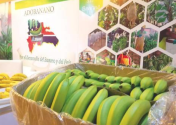 Sector agropecuario dominicano depende de la mano de obra haitiana