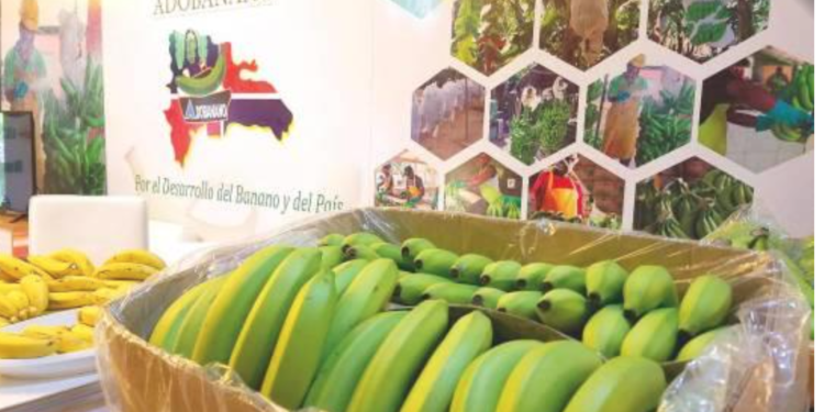 Sector agropecuario dominicano depende de la mano de obra haitiana