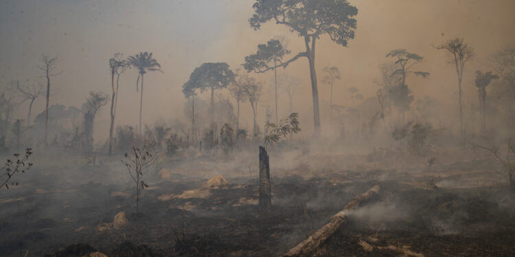 Desastre climático colapsará principales monedas, dice Barclays