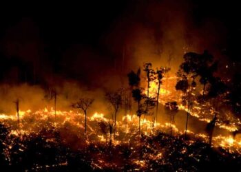 Incendios en Amazonía brasileña suben en primer semestre y prenden alarmas