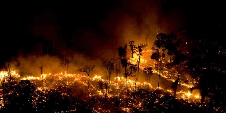 Incendios en Amazonía brasileña suben en primer semestre y prenden alarmas