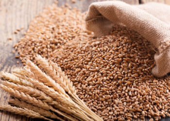 Ucrania exportó 1.68 millones de toneladas de cereal en primer mes de acuerdo