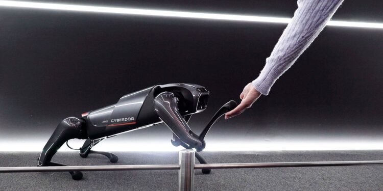 Lo más curioso del MWC 2023: perros robot, 3D sin gafas y reconocimiento facial de mascotas