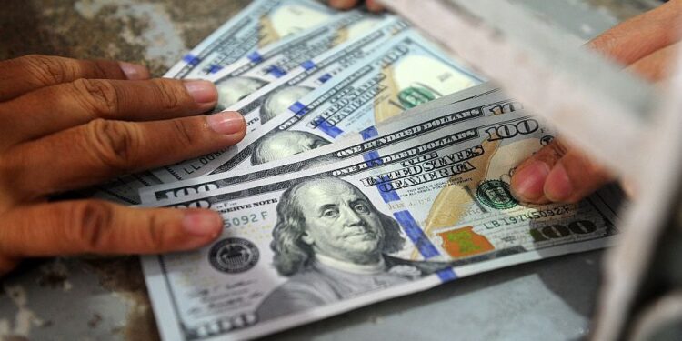 Cartera en moneda extranjera asciende a US$6,351 millones en 2022