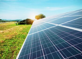 El inesperado peligro medioambiental que pueden generar los paneles solares