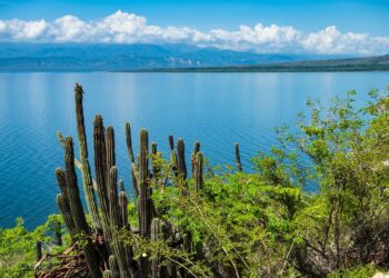 Convertirán en punto turístico lago Enriquillo