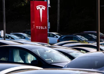 Exejecutivos de Tesla lanzan DensityAI, una empresa de servicios de datos para industrias