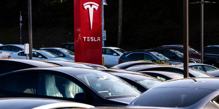 Exejecutivos de Tesla lanzan DensityAI, una empresa de servicios de datos para industrias