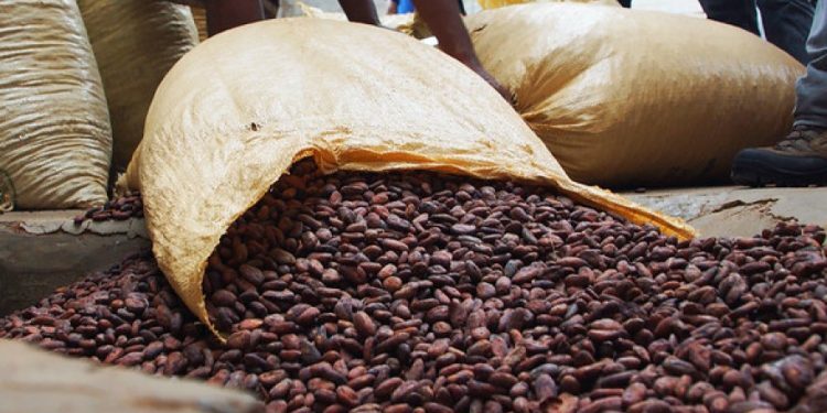 Cacao, guineos y tabaco lideran exportaciones agropecuarias dominicanas