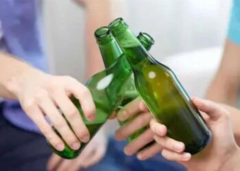 Importaciones de bebidas alcohólicas muestran altibajos, pero se mantiene dominio de cerveza y vino