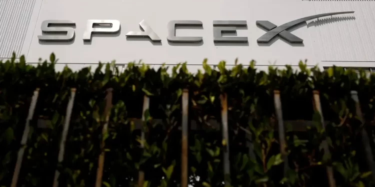 SpaceX y Palantir lideran repunte de acciones tecnológicas tras informe de empleo de EU decepcionante